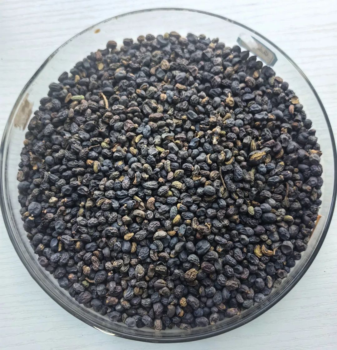 普菲德專(zhuān)題產(chǎn)品推薦-女貞子系列